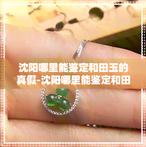 探秘沈陽(yáng) 尋找和田玉真?zhèn)舞b別的文化投資指南